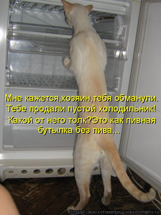 Какой от него толк?Это как пивная бутылка без пива... Мне кажется,хозяин,тебя обманули. Тебе продали... Котоматрица: Какой от него толк?Это как пивная бутылка без пива... Мне кажется,хозяин,тебя обманули. Тебе продали пустой холодильник!