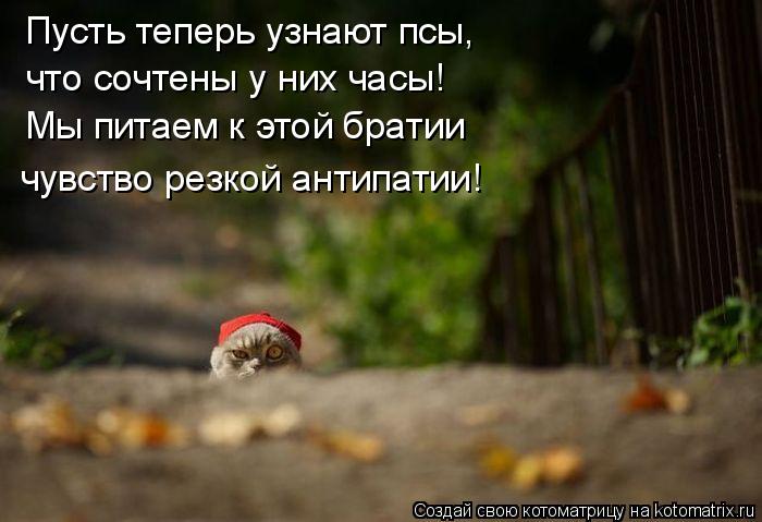 Пусть теперь узнают псы, что сочтены у них часы! Мы питаем к этой братии чувство резкой антипатии!... Котоматрица: Пусть теперь узнают псы, что сочтены у них часы! Мы питаем к этой братии чувство резкой антипатии!