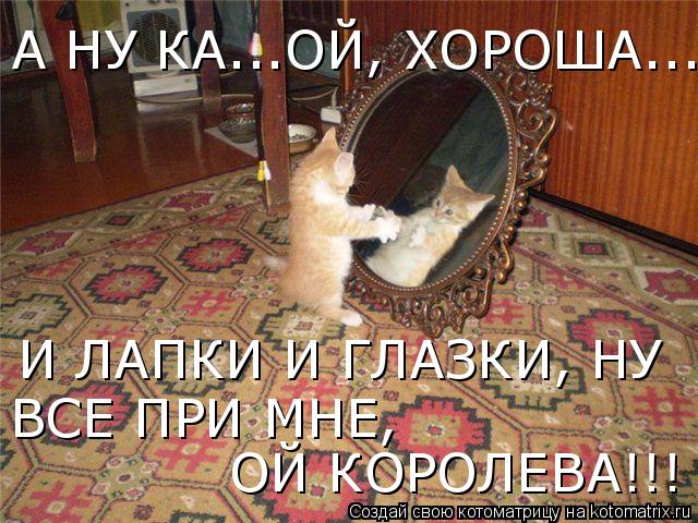 А НУ КА...ОЙ, ХОРОША... И ЛАПКИ И ГЛАЗКИ, НУ ВСЕ ПРИ МНЕ, ОЙ КОРОЛЕВА!!!... Котоматрица: А НУ КА...ОЙ, ХОРОША... И ЛАПКИ И ГЛАЗКИ, НУ ВСЕ ПРИ МНЕ, ОЙ КОРОЛЕВА!!!