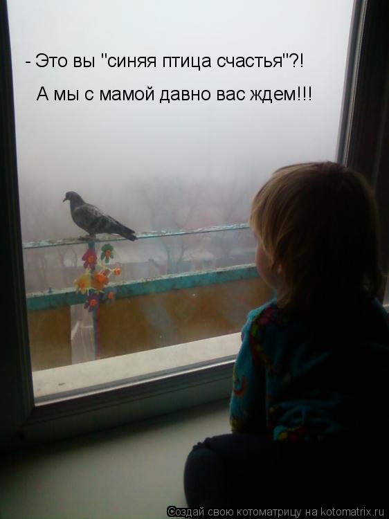 А мы с мамой давно вас ждем!!! - Это вы "синяя птица счастья"?!... Котоматрица: А мы с мамой давно вас ждем!!! - Это вы "синяя птица счастья"?!