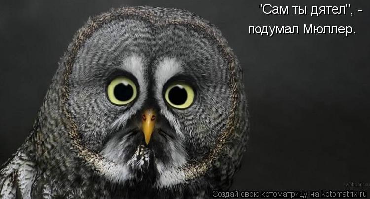 "Сам ты дятел", - подумал Мюллер.... Котоматрица: "Сам ты дятел", - подумал Мюллер.