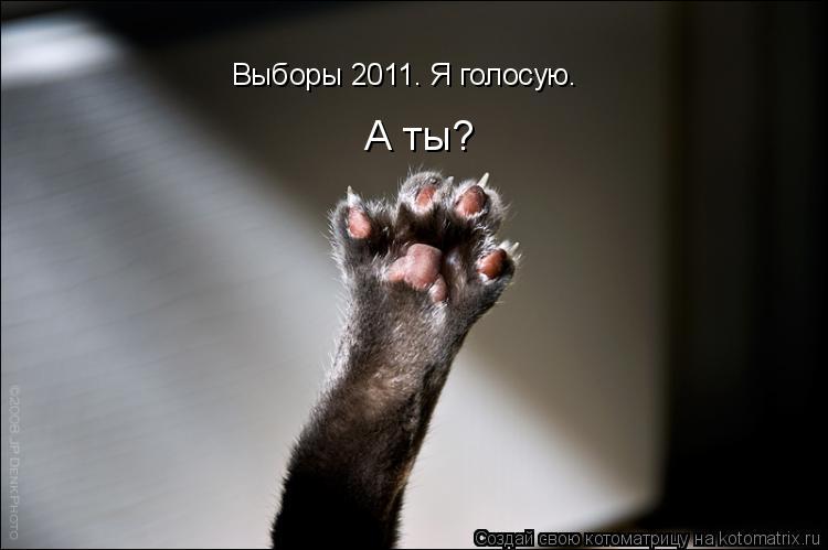 А ты? Выборы 2011. Я голосую.... Котоматрица: А ты? Выборы 2011. Я голосую.