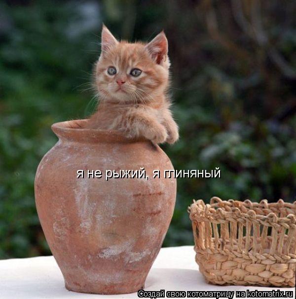 я не рыжий, я глиняный... Котоматрица: я не рыжий, я глиняный