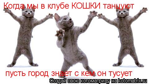 Когда мы в клубе КОШКИ танцуют пусть город знает с кем он тусует... Котоматрица: Когда мы в клубе КОШКИ танцуют пусть город знает с кем он тусует