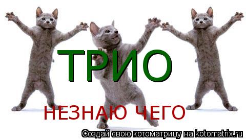 ТРИО НЕЗНАЮ ЧЕГО... Котоматрица: ТРИО НЕЗНАЮ ЧЕГО