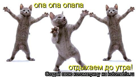 опа опа опапа отдыхаем до утра!... Котоматрица: опа опа опапа отдыхаем до утра!