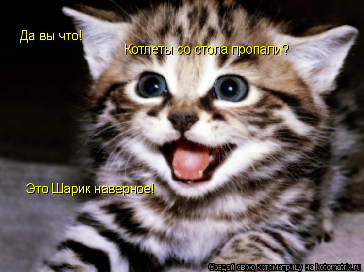 Это Шарик наверное! Да вы что! Котлеты со стола пропали?... Котоматрица: Это Шарик наверное! Да вы что! Котлеты со стола пропали?