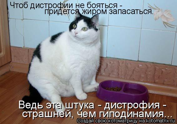Чтоб дистрофии не бояться - придется жиром запасаться. Ведь эта штука - дистрофия - страшней, чем г... Котоматрица: Чтоб дистрофии не бояться - придется жиром запасаться. Ведь эта штука - дистрофия - страшней, чем гиподинамия...