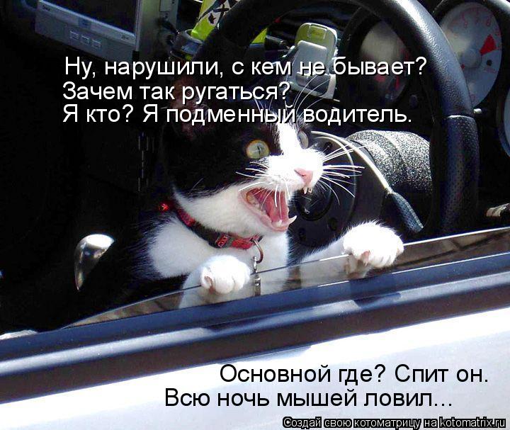 Ну, нарушили, с кем не бывает? Зачем так ругаться? Я кто? Я подменный водитель. Основной где? Спит он... Котоматрица: Ну, нарушили, с кем не бывает? Зачем так ругаться? Я кто? Я подменный водитель. Основной где? Спит он. Всю ночь мышей ловил...