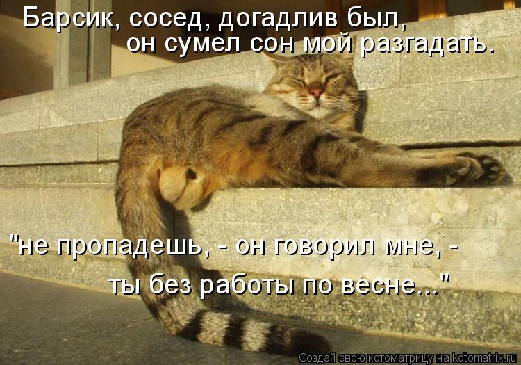 "не пропадешь, - он говорил мне, - ты без работы по весне..." он сумел сон мой разгадать. Барсик, со... Котоматрица: "не пропадешь, - он говорил мне, - ты без работы по весне..." он сумел сон мой разгадать. Барсик, сосед, догадлив был,