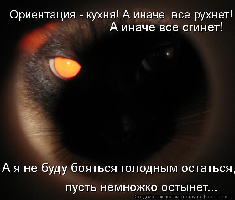 А иначе все сгинет! А я не буду бояться голодным остаться, пусть немножко остынет... Ориентация - ку... Котоматрица: А иначе все сгинет! А я не буду бояться голодным остаться, пусть немножко остынет... Ориентация - кухня! А иначе все рухнет!