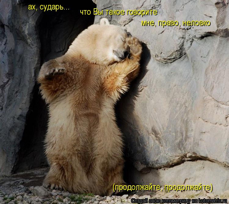 ах, сударь... что Вы такое говорите мне, право, неловко (продолжайте, продолжайте)... Котоматрица: ах, сударь... что Вы такое говорите мне, право, неловко (продолжайте, продолжайте)