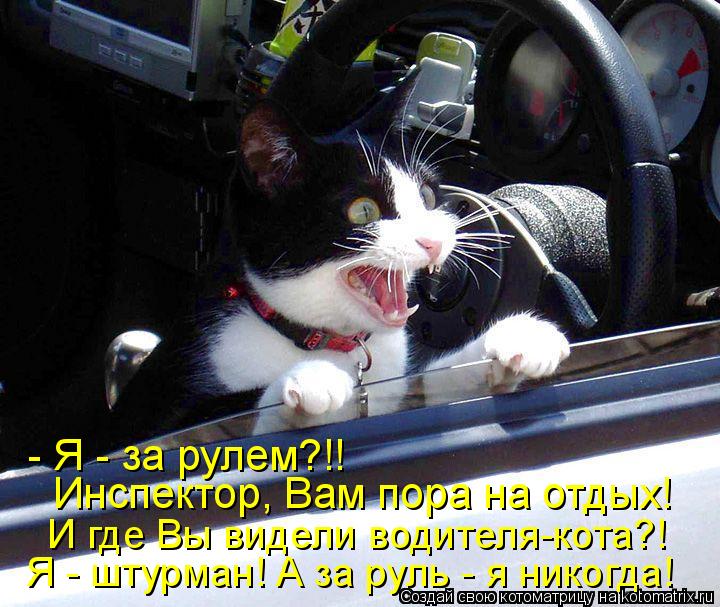 - Я - за рулем?!! Инспектор, Вам пора на отдых! И где Вы видели водителя-кота?! Я - штурман! А за рул... Котоматрица: - Я - за рулем?!! Инспектор, Вам пора на отдых! И где Вы видели водителя-кота?! Я - штурман! А за руль - я никогда!