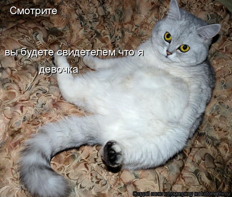 Смотрите вы будете свидетелем что я девочка... Котоматрица: Смотрите вы будете свидетелем что я девочка