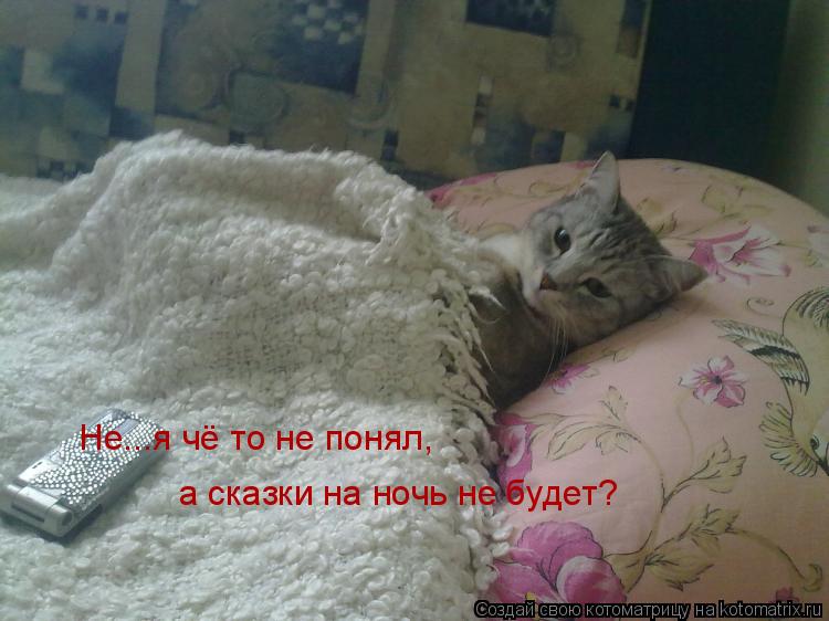 Не...я чё то не понял, а сказки на ночь не будет?... Котоматрица: Не...я чё то не понял, а сказки на ночь не будет?