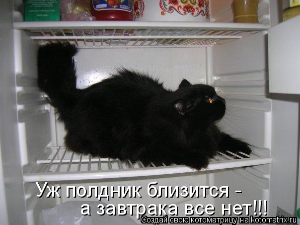 Уж полдник близится - а завтрака все нет!!!... Котоматрица: Уж полдник близится - а завтрака все нет!!!
