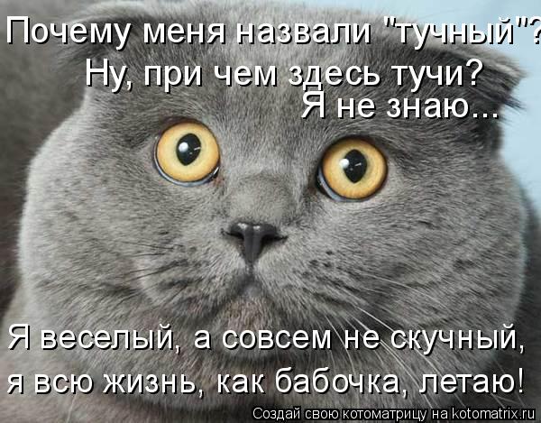 Почему меня назвали "тучный"? Ну, при чем здесь тучи? Я не знаю... Я веселый, а совсем не скучный, ... Котоматрица: Почему меня назвали "тучный"? Ну, при чем здесь тучи? Я не знаю... Я веселый, а совсем не скучный, я всю жизнь, как бабочка, летаю!