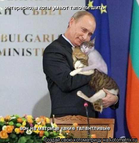 интересно, а коты умеют тапочки шить вон на матрице какие талантливые... Котоматрица: интересно, а коты умеют тапочки шить вон на матрице какие талантливые