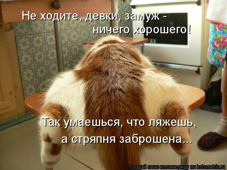 Не ходите, девки, замуж - ничего хорошего! Так умаешься, что ляжешь, а стряпня заброшена...... Котоматрица: Не ходите, девки, замуж - ничего хорошего! Так умаешься, что ляжешь, а стряпня заброшена...