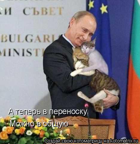 А теперь в переноску Можно в общую... Котоматрица: А теперь в переноску Можно в общую