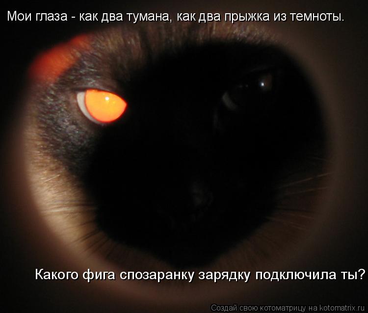 Мои глаза - как два тумана, как два прыжка из темноты. Какого фига спозаранку зарядку подключила ты?... Котоматрица: Мои глаза - как два тумана, как два прыжка из темноты. Какого фига спозаранку зарядку подключила ты?