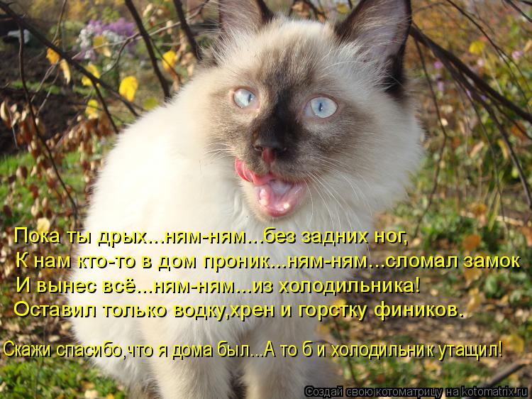 И вынес всё...ням-ням...из холодильника! Оставил только водку,хрен и горстку фиников. К нам кто-то в ... Котоматрица: И вынес всё...ням-ням...из холодильника! Оставил только водку,хрен и горстку фиников. К нам кто-то в дом проник...ням-ням...сломал замок Пока ты д