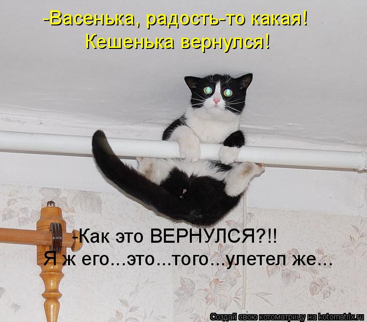 -Васенька, радость-то какая! Кешенька вернулся! -Как это ВЕРНУЛСЯ?!! Я ж его...это...того...улетел же... Котоматрица: -Васенька, радость-то какая! Кешенька вернулся! -Как это ВЕРНУЛСЯ?!! Я ж его...это...того...улетел же...