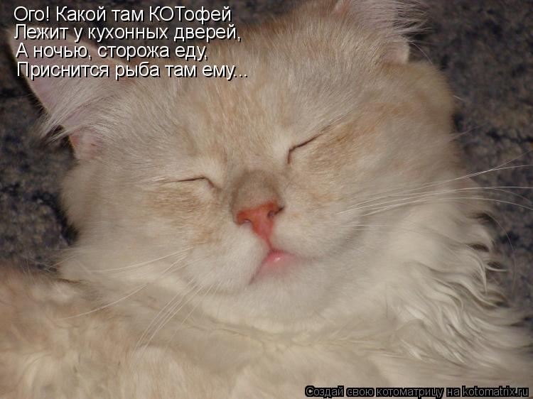 Ого! Какой там КОТофей Лежит у кухонных дверей, А ночью, сторожа еду, Приснится рыба там ему...... Котоматрица: Ого! Какой там КОТофей Лежит у кухонных дверей, А ночью, сторожа еду, Приснится рыба там ему...