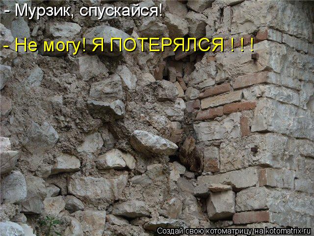 - Мурзик, спускайся! - Не могу! Я ПОТЕРЯЛСЯ ! ! !... Котоматрица: - Мурзик, спускайся! - Не могу! Я ПОТЕРЯЛСЯ ! ! !