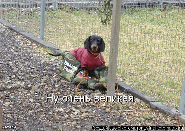 Ну очень великая.... Котоматрица: Ну очень великая.