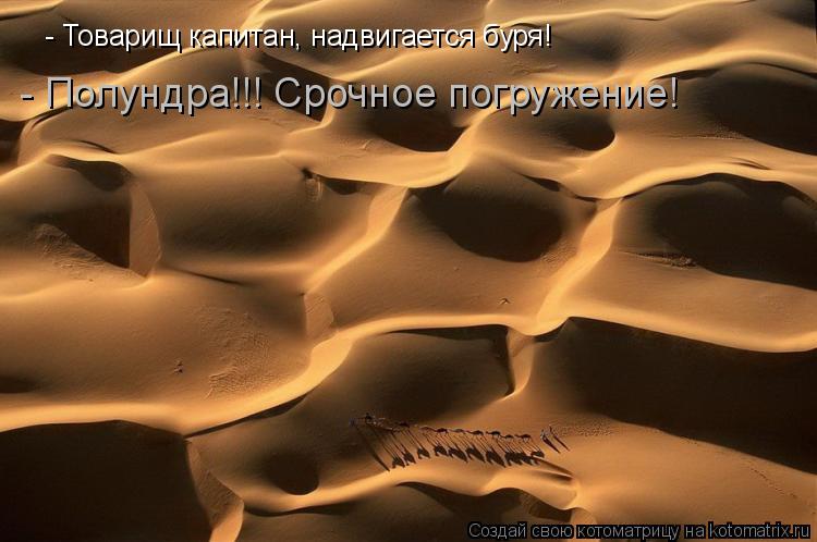 - Товарищ капитан, надвигается буря! - Полундра!!! Срочное погружение!... Котоматрица: - Товарищ капитан, надвигается буря! - Полундра!!! Срочное погружение!