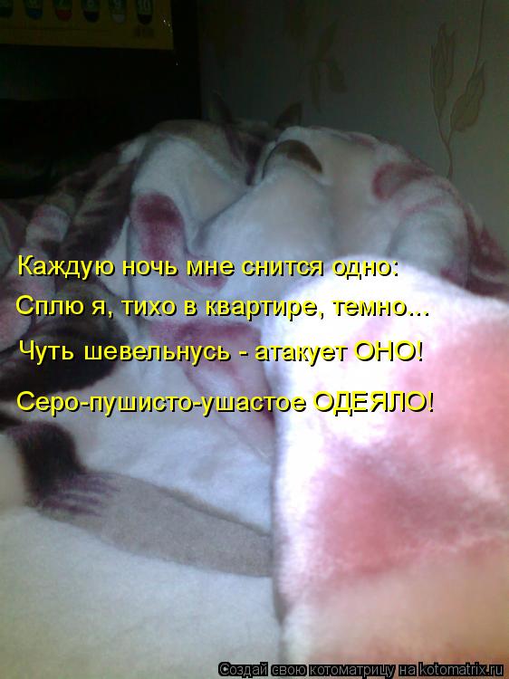 Каждую ночь мне снится одно: Сплю я, тихо в квартире, темно... Чуть шевельнусь - атакует ОНО! Серо-пу... Котоматрица: Каждую ночь мне снится одно: Сплю я, тихо в квартире, темно... Чуть шевельнусь - атакует ОНО! Серо-пушисто-ушастое ОДЕЯЛО!