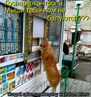 Мыши табачком не балуются??? Госнаркоконтроль...... Котоматрица: Мыши табачком не балуются??? Госнаркоконтроль...
