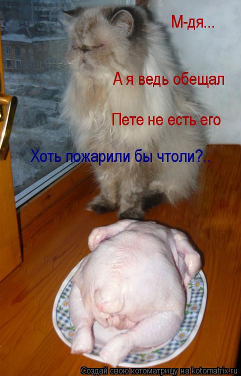 М-дя... А я ведь обещал Пете не есть его Хоть пожарили бы чтоли?..... Котоматрица: М-дя... А я ведь обещал Пете не есть его Хоть пожарили бы чтоли?..