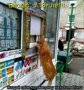 "Вискас" с 18+ лет!!... Котоматрица: "Вискас" с 18+ лет!!
