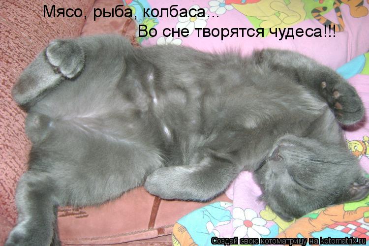 Мясо, рыба, колбаса... Во сне творятся чудеса!!!... Котоматрица: Мясо, рыба, колбаса... Во сне творятся чудеса!!!