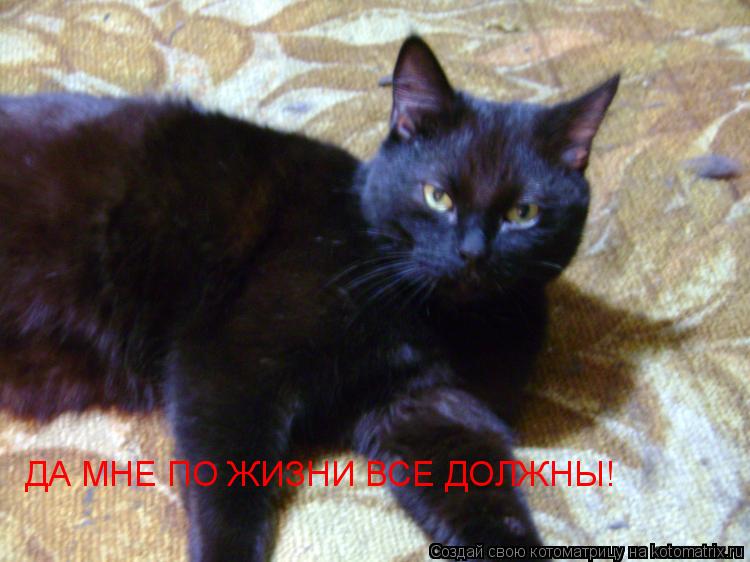 ДА МНЕ ПО ЖИЗНИ ВСЕ ДОЛЖНЫ!... Котоматрица: ДА МНЕ ПО ЖИЗНИ ВСЕ ДОЛЖНЫ!