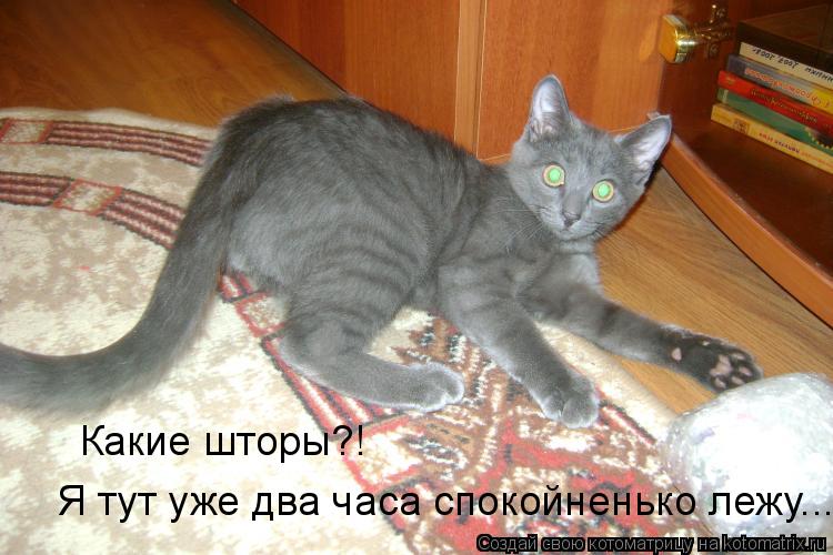 Какие шторы?! Я тут уже два часа спокойненько лежу...... Котоматрица: Какие шторы?! Я тут уже два часа спокойненько лежу...