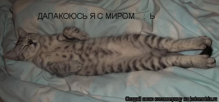 ДАПАКОЮСЬ Я С МИРОМ Х Х ДАПАКОЮСЬ Я С МИРОМ : Ь... Котоматрица: ДАПАКОЮСЬ Я С МИРОМ Х Х ДАПАКОЮСЬ Я С МИРОМ : Ь
