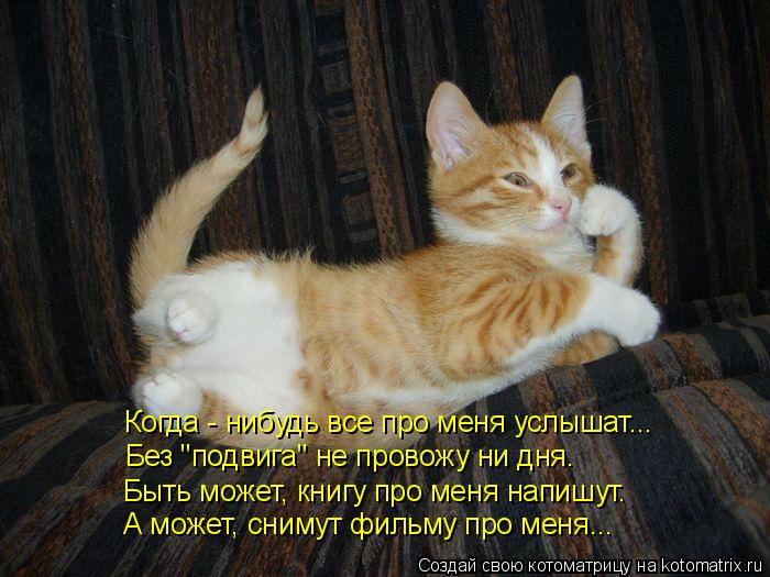 Без "подвига" не провожу ни дня. Когда - нибудь все про меня услышат... Быть может, книгу про меня на... Котоматрица: Без "подвига" не провожу ни дня. Когда - нибудь все про меня услышат... Быть может, книгу про меня напишут. А может, снимут фильму про меня...