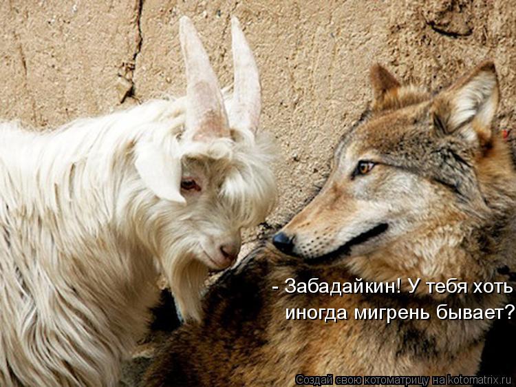 - Забадайкин! У тебя хоть иногда мигрень бывает?... Котоматрица: - Забадайкин! У тебя хоть иногда мигрень бывает?