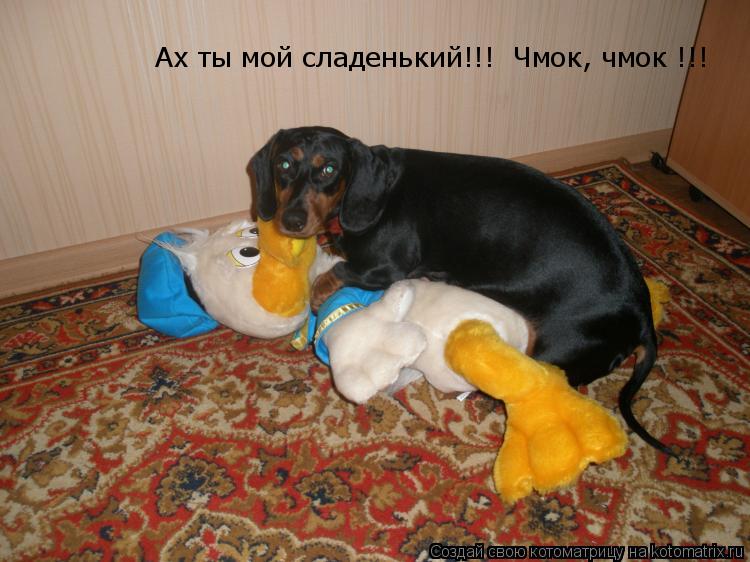Ах ты мой сладенький!!! Чмок, чмок !!!... Котоматрица: Ах ты мой сладенький!!! Чмок, чмок !!!