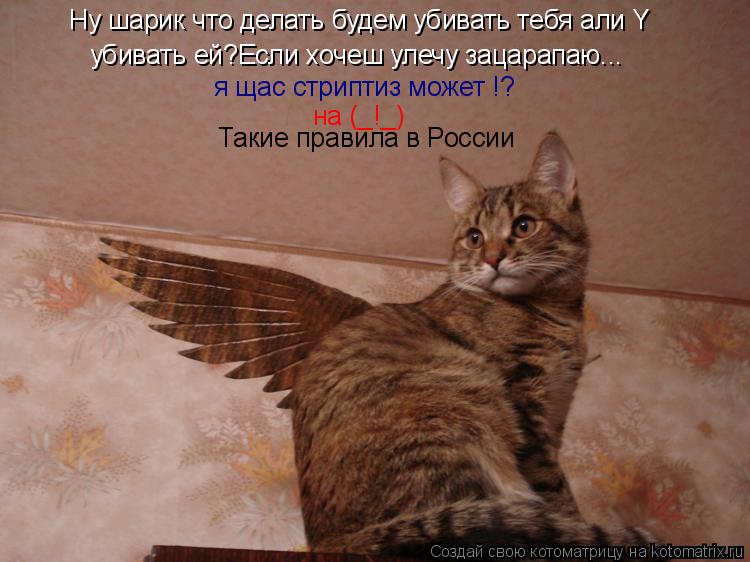 Ну шарик что делать будем убивать тебя али Y убивать ей?Если хочеш улечу зацарапаю... я щас стриптиз... Котоматрица: Ну шарик что делать будем убивать тебя али Y убивать ей?Если хочеш улечу зацарапаю... я щас стриптиз может !? на (_!_) Такие правила в России