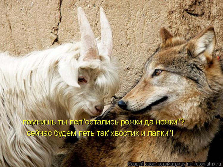 помнишь ты пел"остались рожки да ножки"? сейчас будем петь так"хвостик и лапки"!... Котоматрица: помнишь ты пел"остались рожки да ножки"? сейчас будем петь так"хвостик и лапки"!