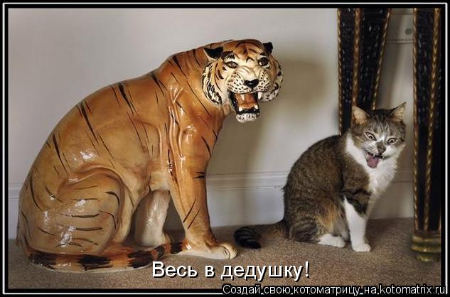Весь в дедушку!... Котоматрица: Весь в дедушку!