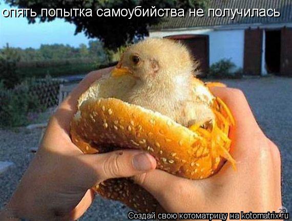 опять попытка самоубийства не получилась... Котоматрица: опять попытка самоубийства не получилась