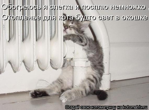 Обогреюсь я слегка и посплю немножко , Отопленье для кота будто свет в окошке ...... Котоматрица: Обогреюсь я слегка и посплю немножко , Отопленье для кота будто свет в окошке ...