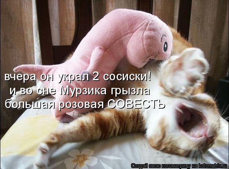 и во сне Мурзика грызла большая розовая СОВЕСТЬ вчера он украл 2 сосиски!... Котоматрица: и во сне Мурзика грызла большая розовая СОВЕСТЬ вчера он украл 2 сосиски!