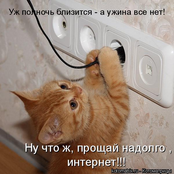 Уж полночь близится - а ужина все нет! Ну что ж, прощай надолго , интернет!!!... Котоматрица: Уж полночь близится - а ужина все нет! Ну что ж, прощай надолго , интернет!!!