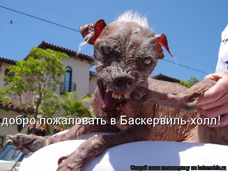 добро пожаловать в Баскервиль-холл!... Котоматрица: добро пожаловать в Баскервиль-холл!